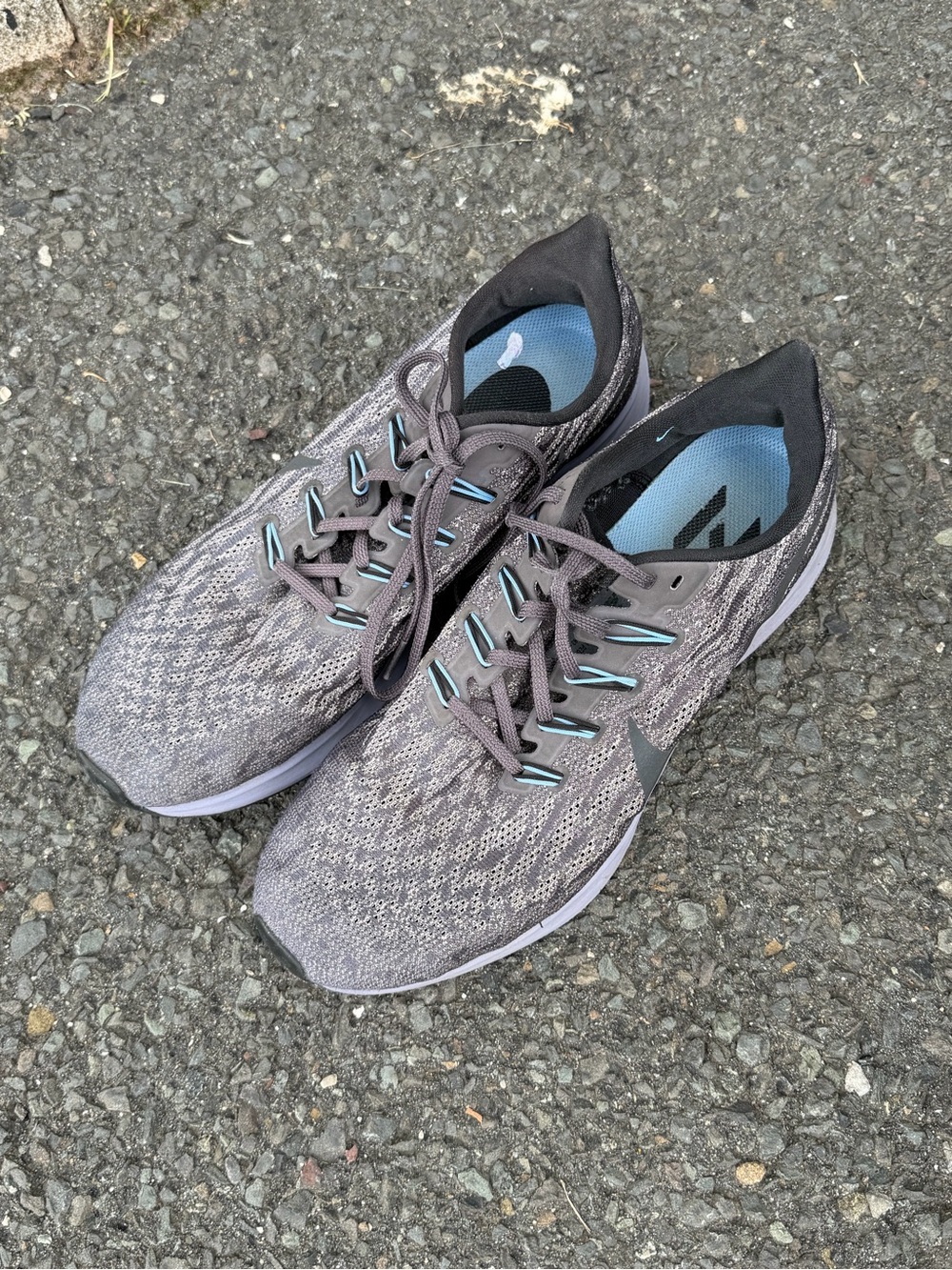 Nike Air Pegasus sz 10